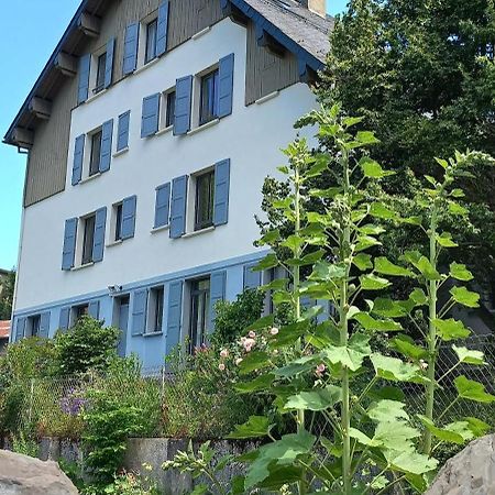 Chalet Du Doumet - Appart Luz Centre - Parking Et Garage Individuel Ferme - Draps Et Serviettes Inclus Luz-Saint-Sauveur Eksteriør bilde